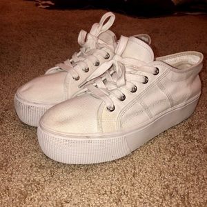 Steve Madden white sneakers